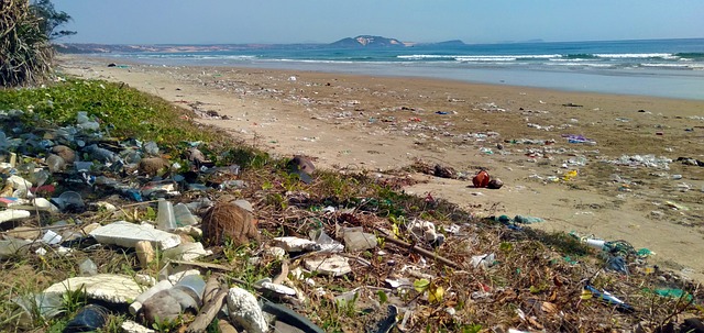 El problema de los plásticos en el mar